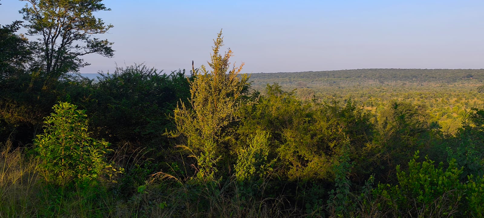 African horizon — Vuka Motho