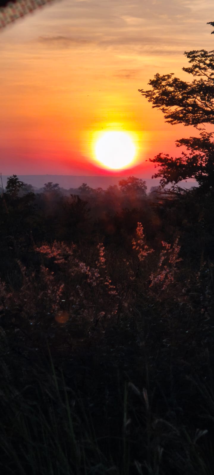 Sunrise — Zimbabwe
